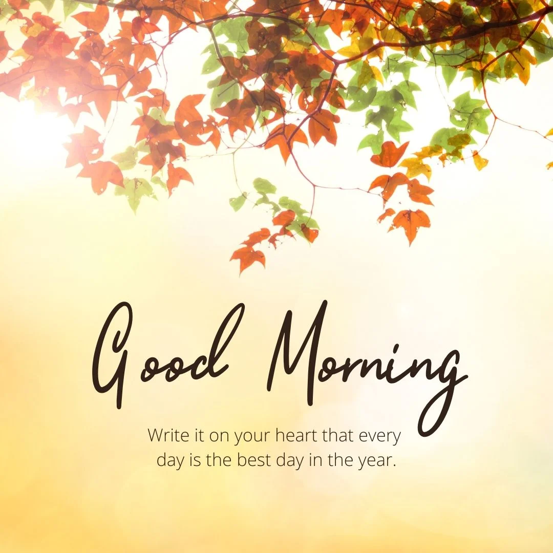 80+ Good morning images free to download 71